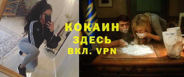 винт Алзамай