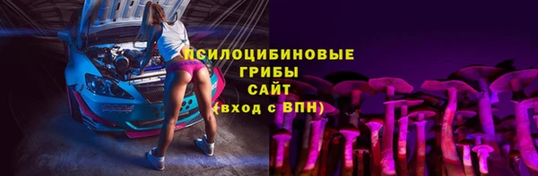 винт Алзамай