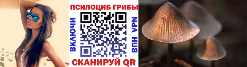 Галлюциногенные грибы Psilocybine cubensis  Лесосибирск 