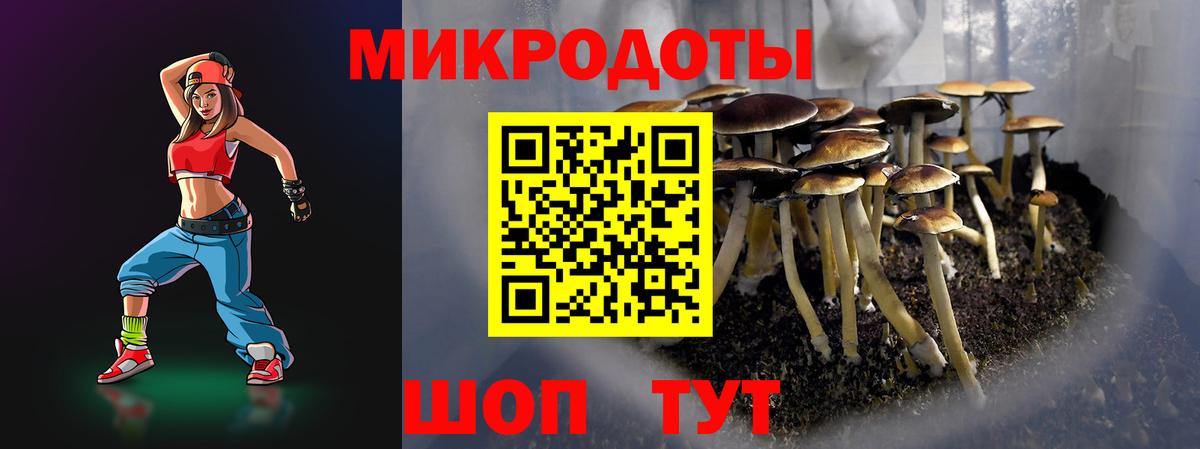 COCAIN Лесосибирск