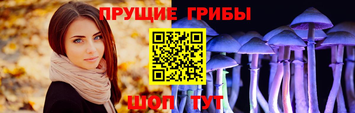 Лесосибирск  Галлюциногенные грибы Cubensis  Вход с VPN 